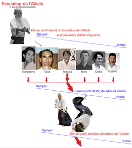 Aïkido à Rodez : une filiation de O Sensei à Alain Peyrache et ses élèves